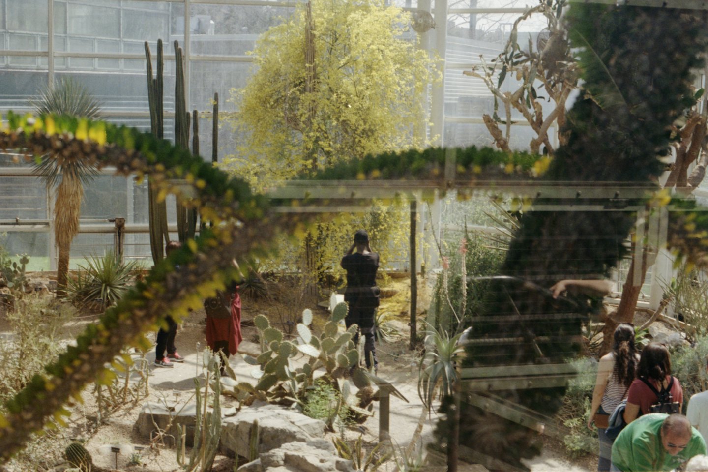 Visitors walk through a spacious greenhouse filled with desert plants.