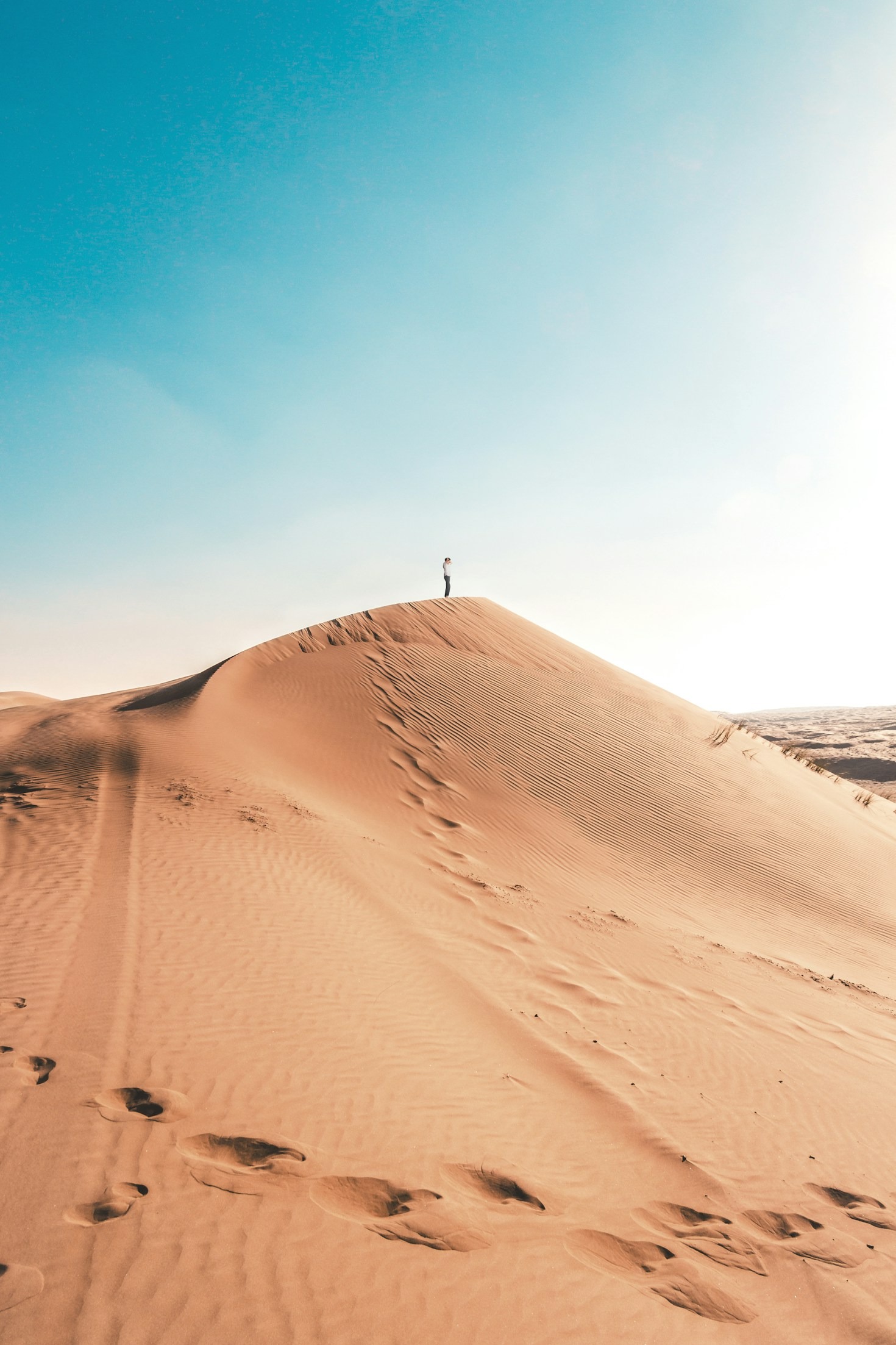 Seasonal Shifts Across Arid Southwest Ecosystems