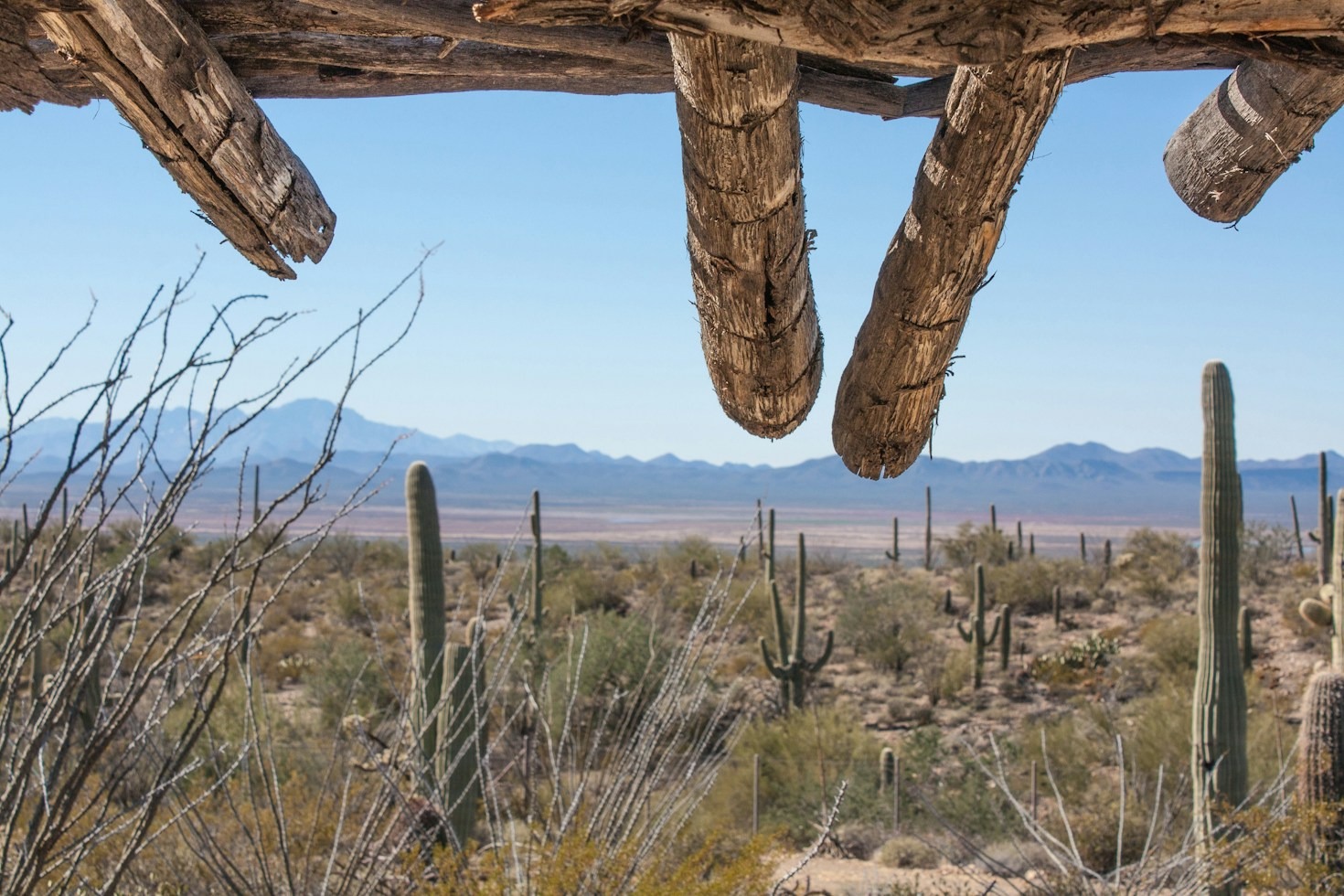 The Cultural History of Desert Wildlife Stewardship